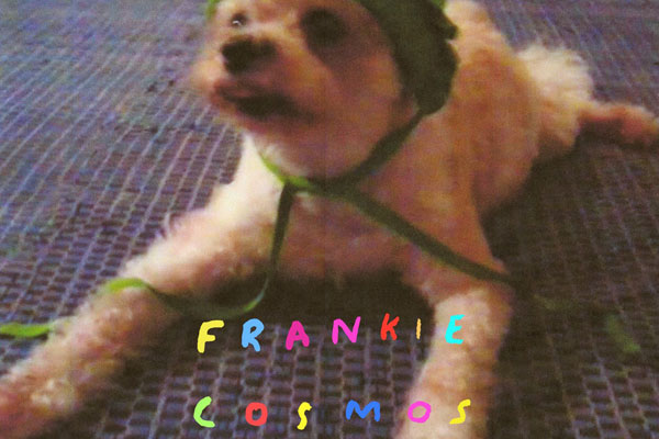 Frankie Cosmos - Zentropy