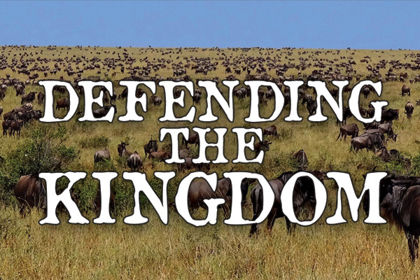 Defending the kingdom | Issue 09