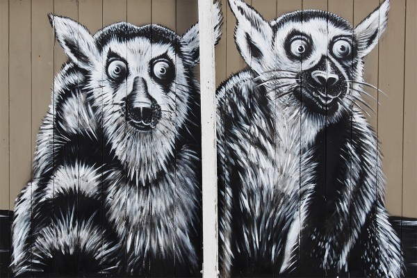 Bruce Mahalskis Amazing Animal Mural-skis 