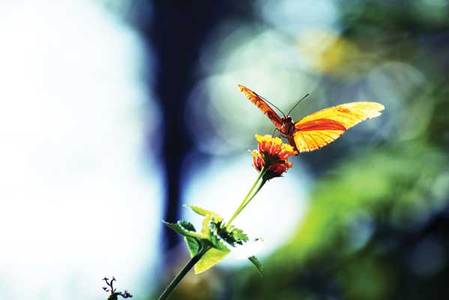 CleannGreen Costa Rica  a True Tropical Paradise?