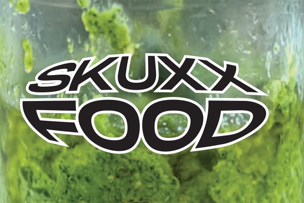 Skuxx Food | Rocket Pesto