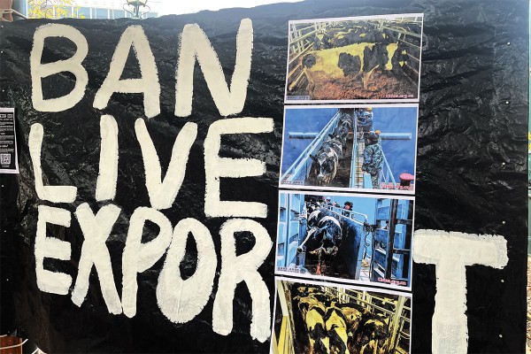 Protest Demands Immediate End To Live Animal Export