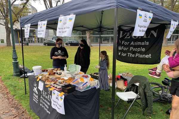 Vegan Bake Sale Raises Money for Animals and Vegans in Ukraine