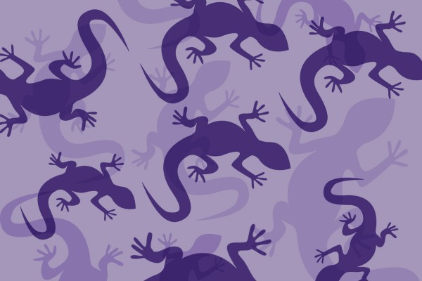 Donate Now: Save the rare Purple Goanna