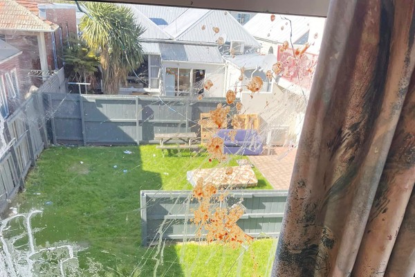 Curry Grenade Smashes Through Castle St Window