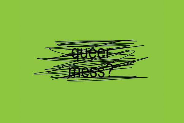 Queer Mess?