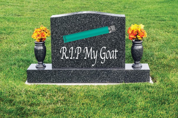 The Rise and Fall of the Green Solo 