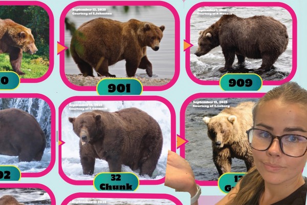 Editorial: I Love Fat Bear Week