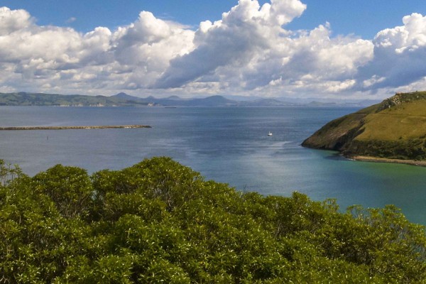 Possums? We Don�t Know Her