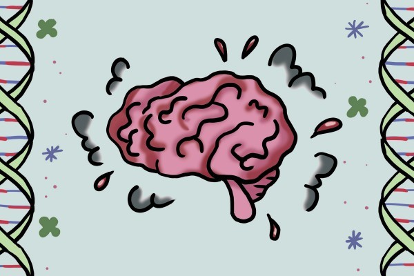 Leary�s Theory for Better Mental Health Services
