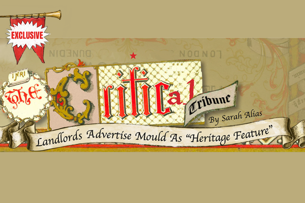 Critical Tribune: Landlords Advertise Mould As “Heritage Feature” Critical Tribune: Landlords Advertise Mould As “Heritage Feature”