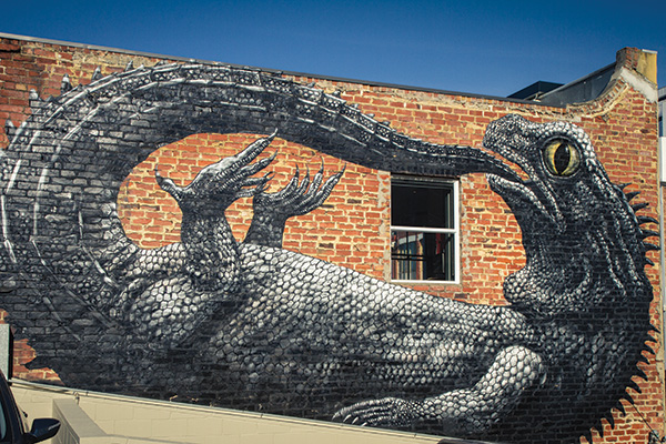 Dunedin streets sprayed with phlegm