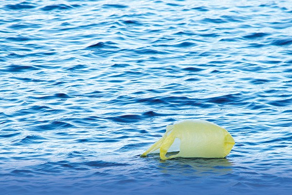 Greens Want Rid of Plastic Bags