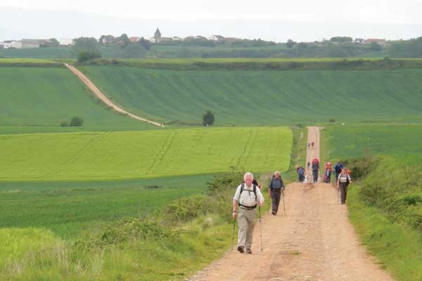 Walking the Camino: Six Ways to Santiago