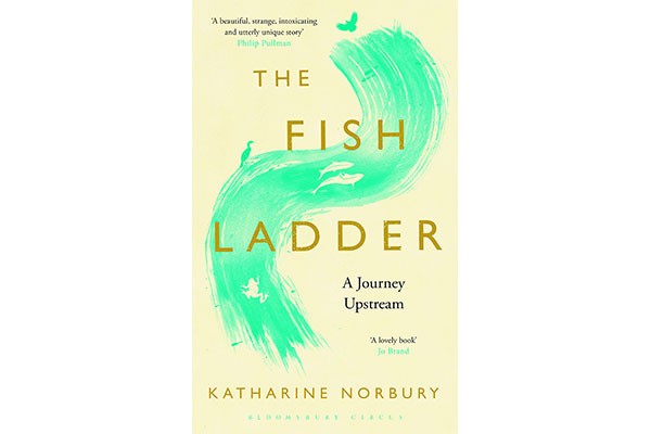 The Fish Ladder: A Journey Upstream