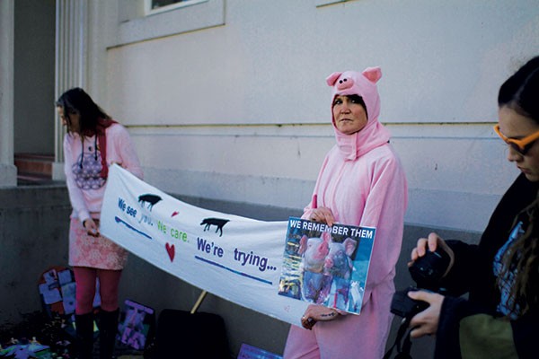 Vigil for Pigs Shot at Otago