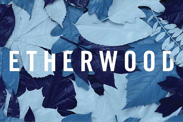 Etherwood  - Blue Leaves