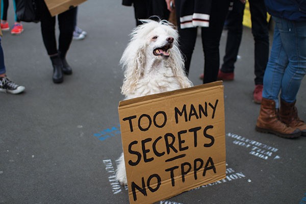 Anti-TPPA Protest Draws Small Crowd