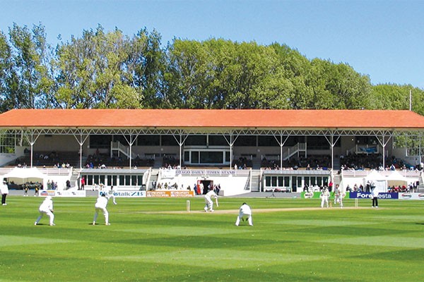 The Cricketing Summer