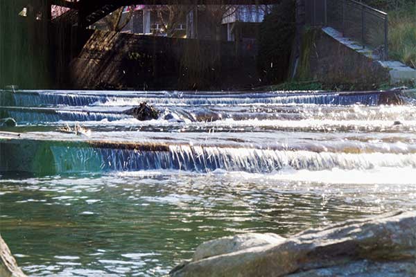 The Water of Leith:  Past and Current