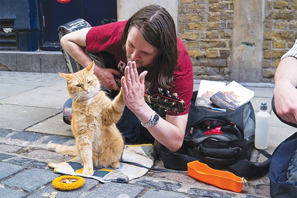 A Street Cat Named Bob