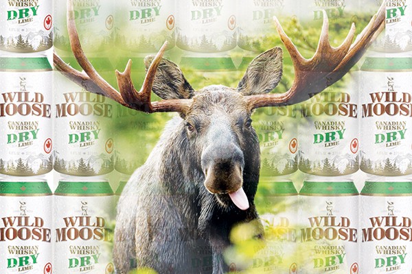 Wild Moose is Liquid Happiness