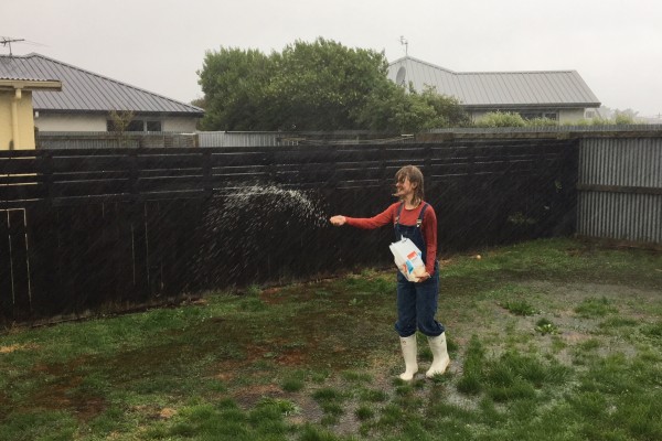 These Scarfies Planted a Rice Paddy In Their Flooded Backyard