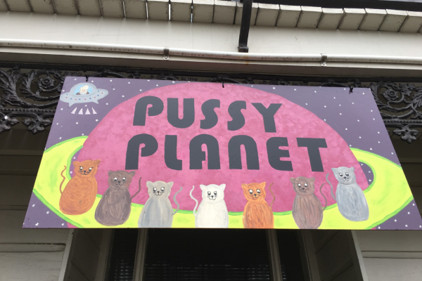 Dunedin Flat Names Project | Who Gnomes About Pussy Planet?