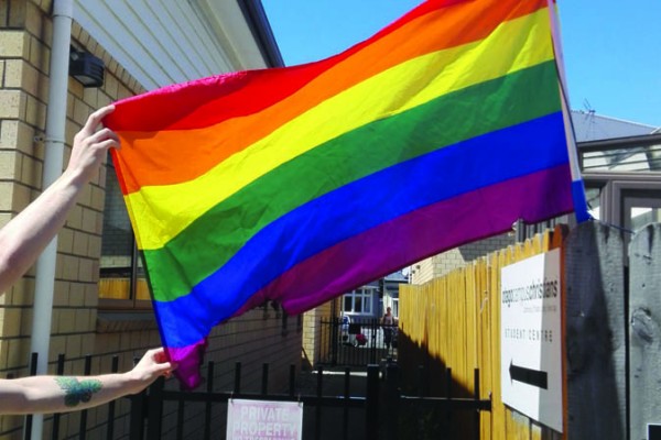 Pride Flag Survives Minor Vandalism