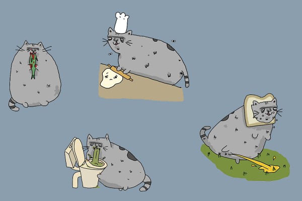 UniPrint Pusheen the Limits of Copyright Law