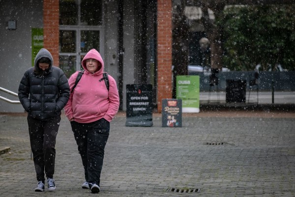 Scarfie Weather First to Predict Snowfall