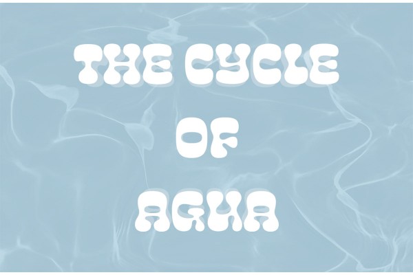The Cycle of Agua: How to recycle your cooking water and save the planet