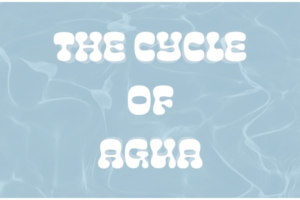 The Cycle of Agua: How to recycle your cooking water and save the planet