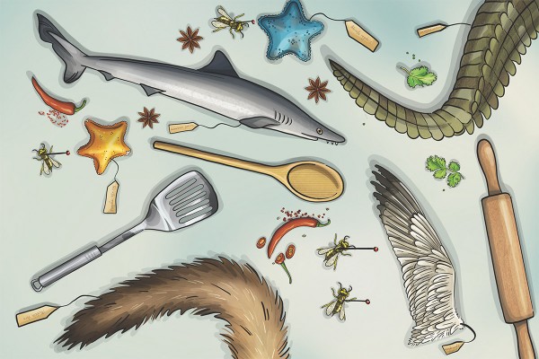 Delectable Specimens: The tastiest creatures in Otago Museums nature galleries