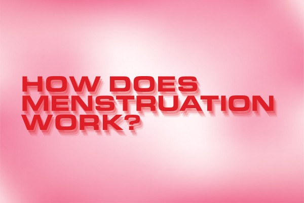 Mad Lib: How Does Menstruation Work? 