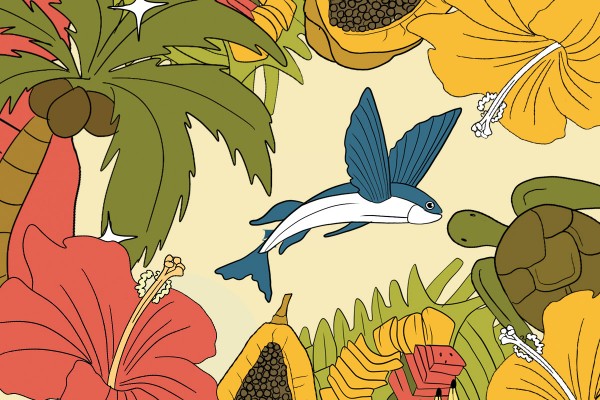 Cook Islands Language Week: Time to Learn About the Cook Islands