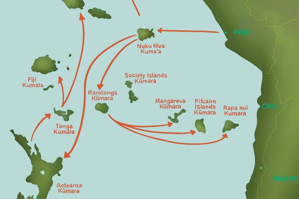 Kūmara: How One Word Crossed the Pacific