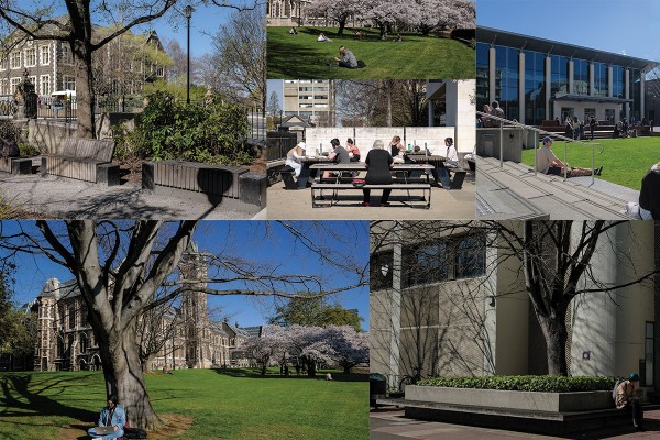 Outdoor Study Spots: How to make the most of Spring in the exam season 
