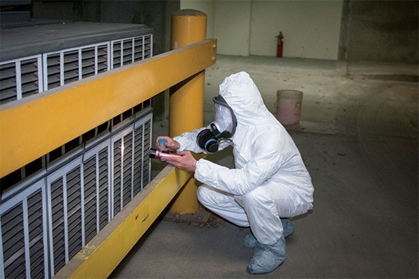 Asbestos Removed from Zoology Building